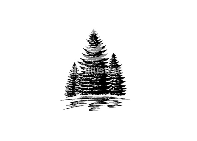 pine trees comp